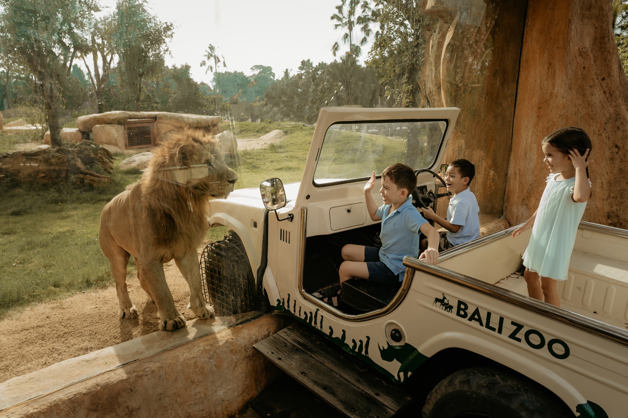 Breakfast with Orangutan at Bali Zoo